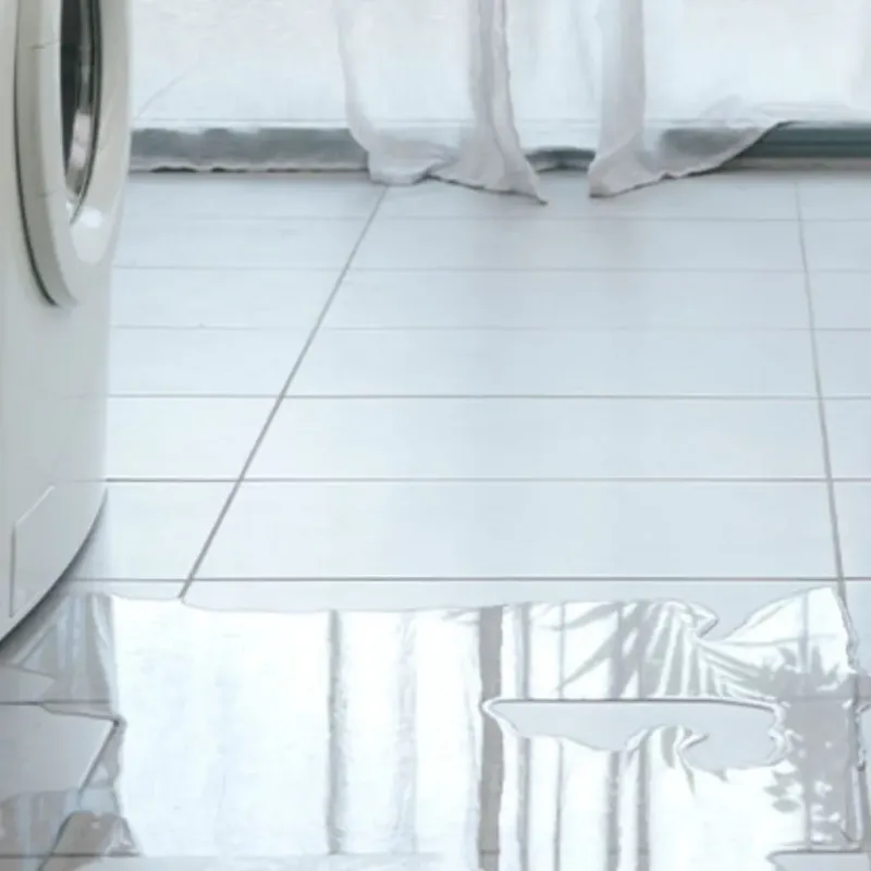 Appliance Leak Cleanup in Newport, SC